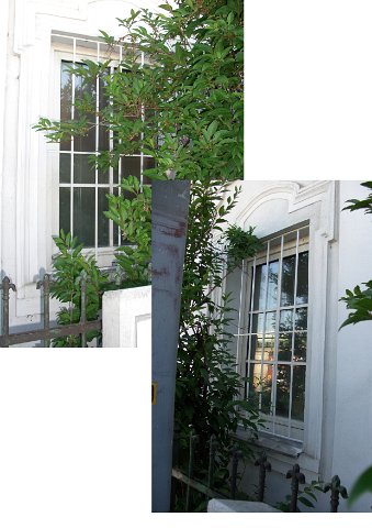 0162FenstergInmann